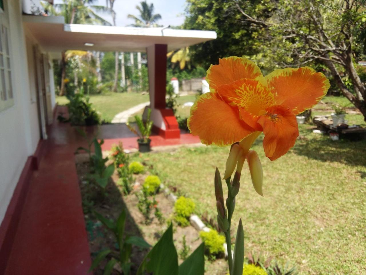 Glorious Villa Tangalle Eksteriør billede