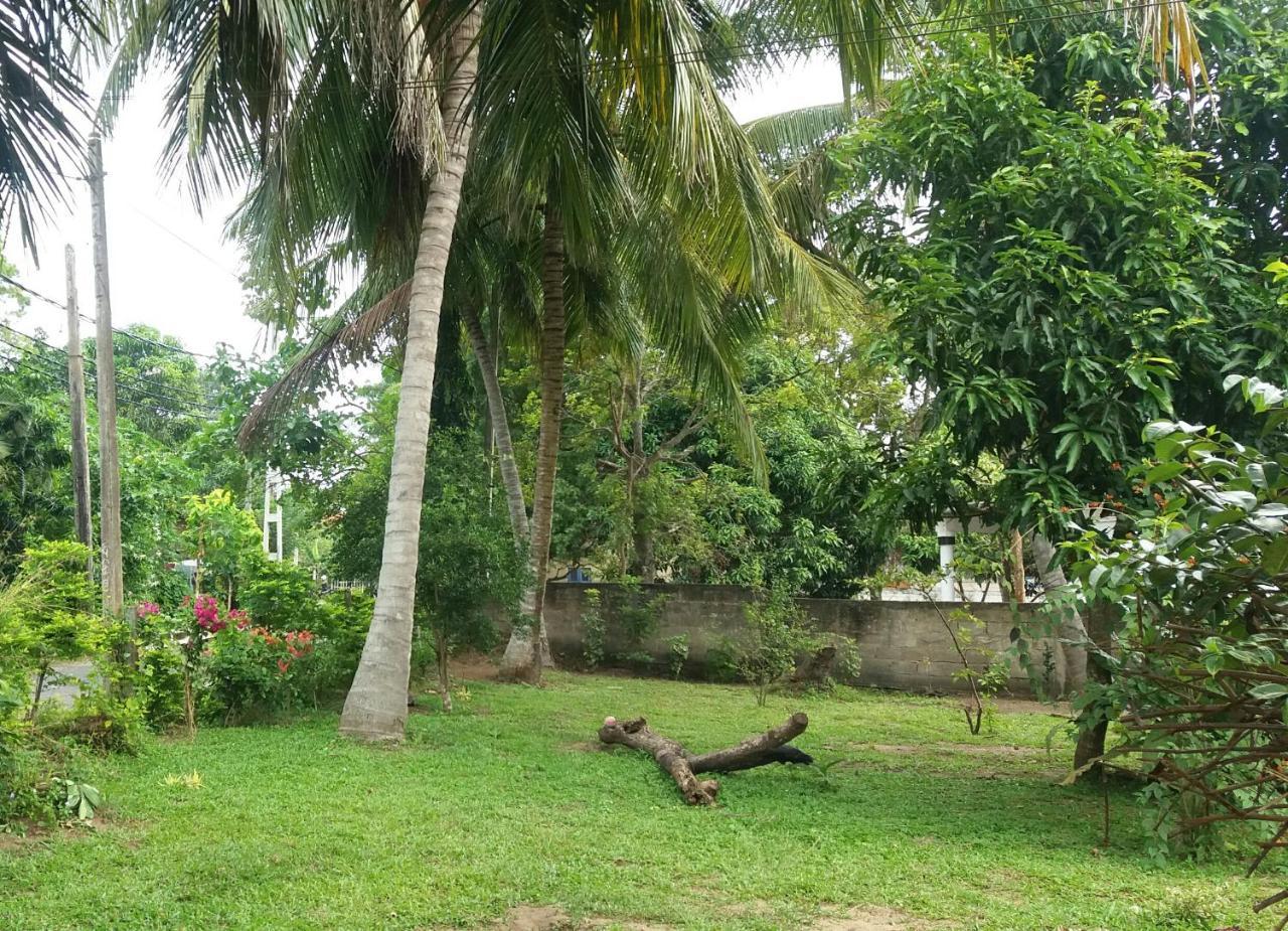Glorious Villa Tangalle Eksteriør billede